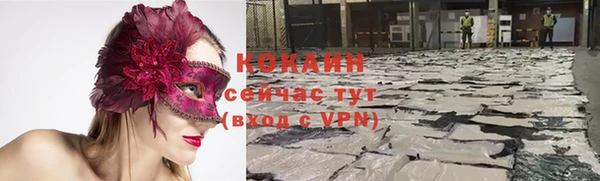 mdpv Горняк