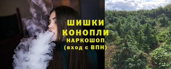 амф Горнозаводск
