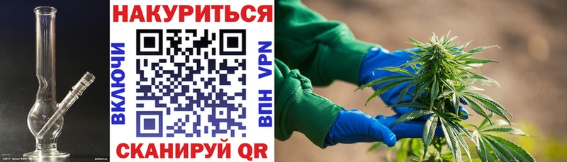 kraken ССЫЛКА Судогда Канабис сатива продажа наркотиков